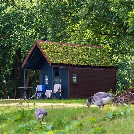 Fehnkate Daire Papenburg Dış mekan fotoğraf